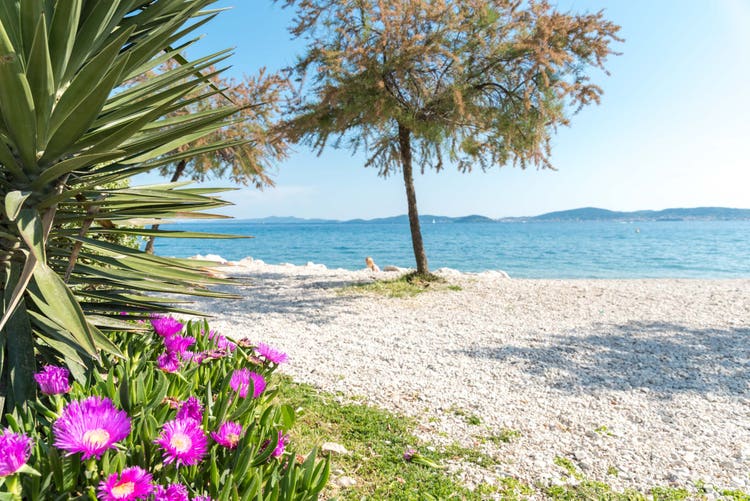 A sunny beach in Split Podstrana with palm leaves in the foreground, turquoise water, and distant islands under a clear sky.