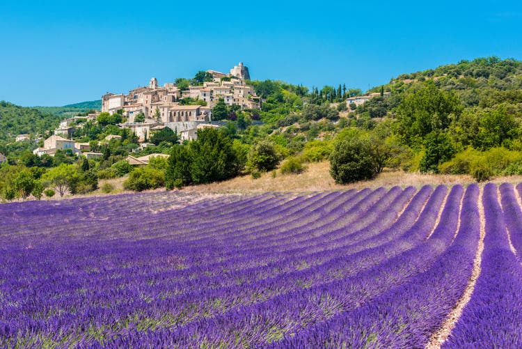 Small but beautiful old town of Simiane la Rotonde with a lavender field in front of it, Provence - France