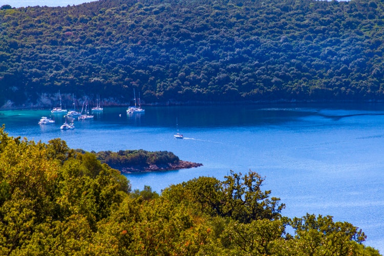 Serene view of Sivota, featuring calm blue waters dotted with sailboats and lush greenery along the shoreline.