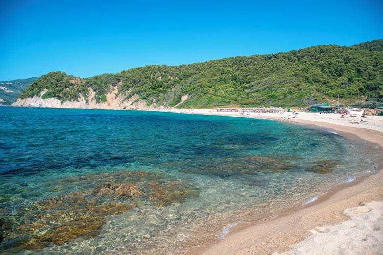 A beach in Aselinos, featuring clear blue waters, sandy shoreline, and lush green hills in the background.