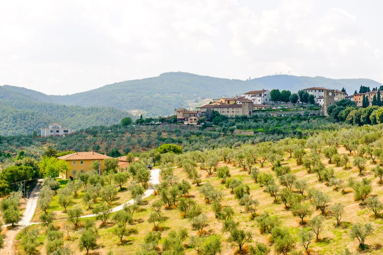 Scenic view of Artimino, showcasing olive groves and hillside residences against a backdrop of lush, rolling mountains.