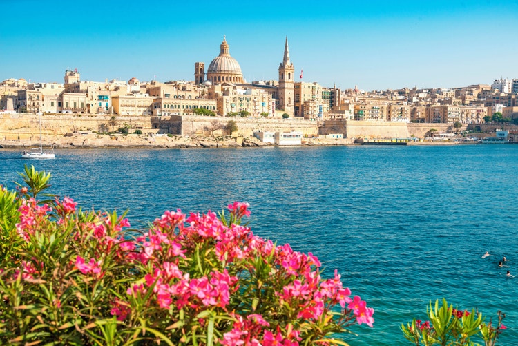 A scenic view of Valletta's coastline featuring flowers in the foreground and a sailboat on the tranquil blue water.