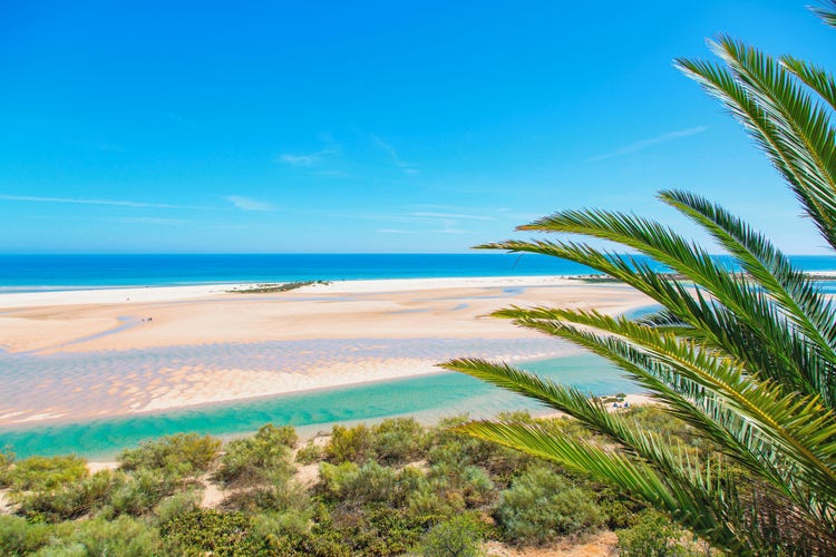 Palm trees frame a picturesque beach scene in Olhao, highlighting the beauty of the coastal landscape.