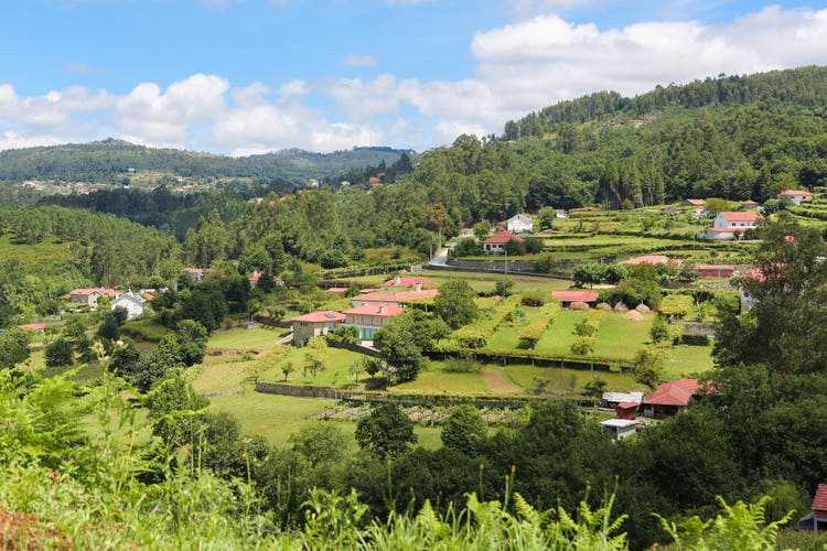 A panoramic view of Paredes de Coura, featuring lush green hills, traditional houses with red roofs, and serene farmland.