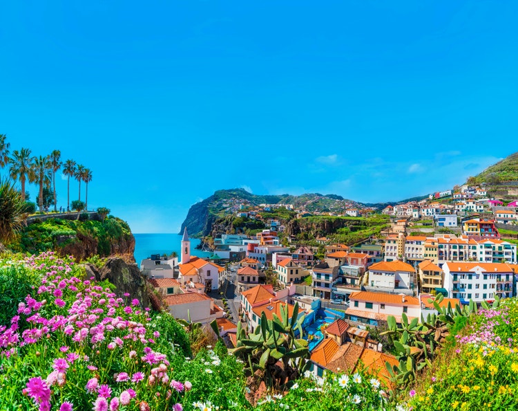 Colourful houses perched on the hill in Câmara de Lobos, with palm trees waving in the breeze and the ocean stretching out below.