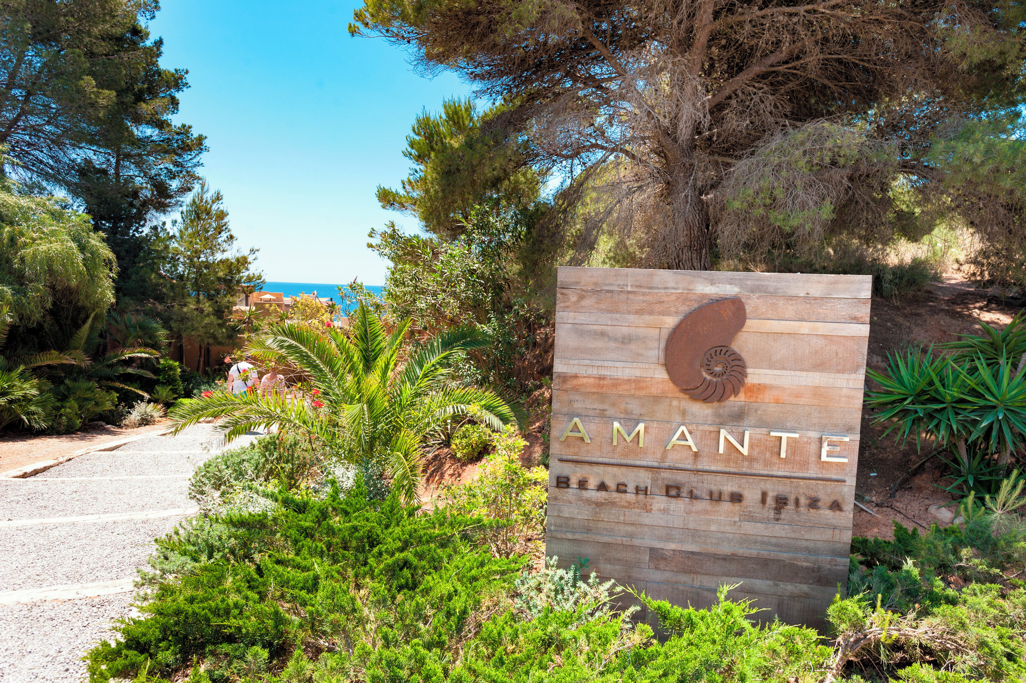 Amante Ibiza