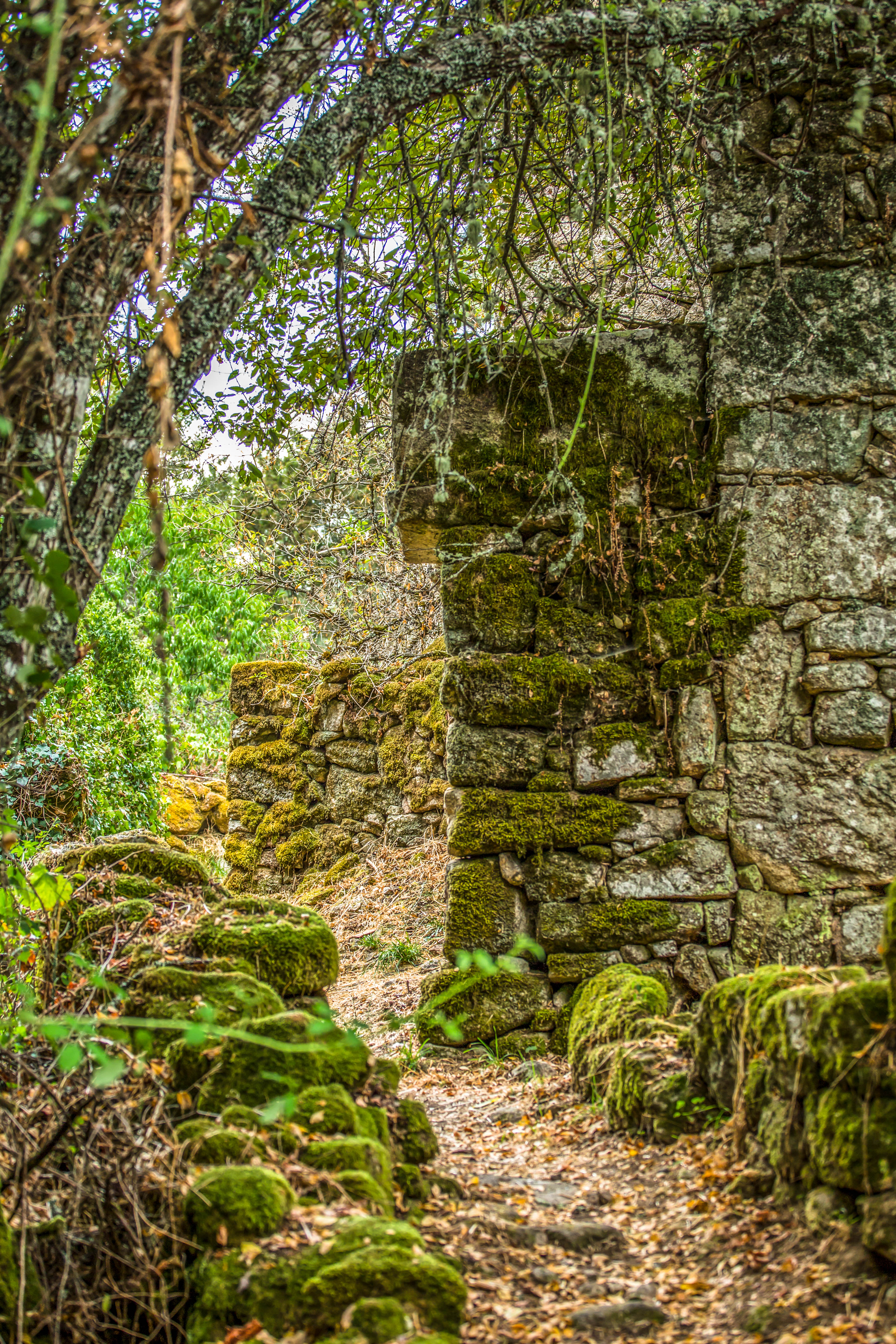 Visit the Castelo de Feiras Novas