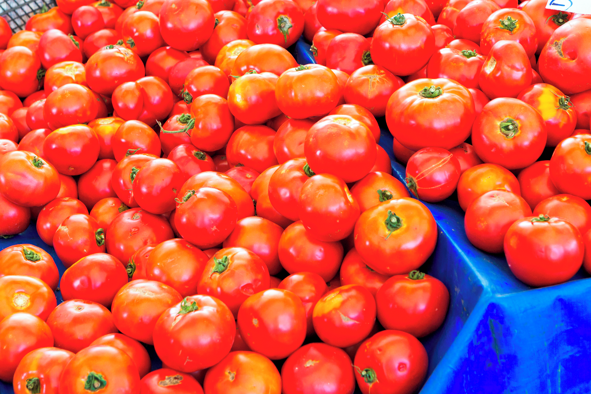 Mercado Municipal Market