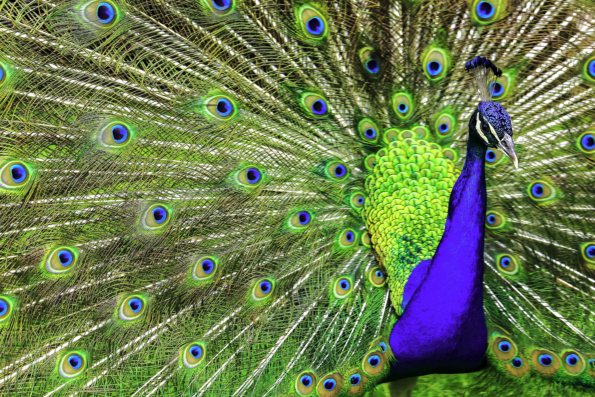 Botanical Park & Gardens of Crete