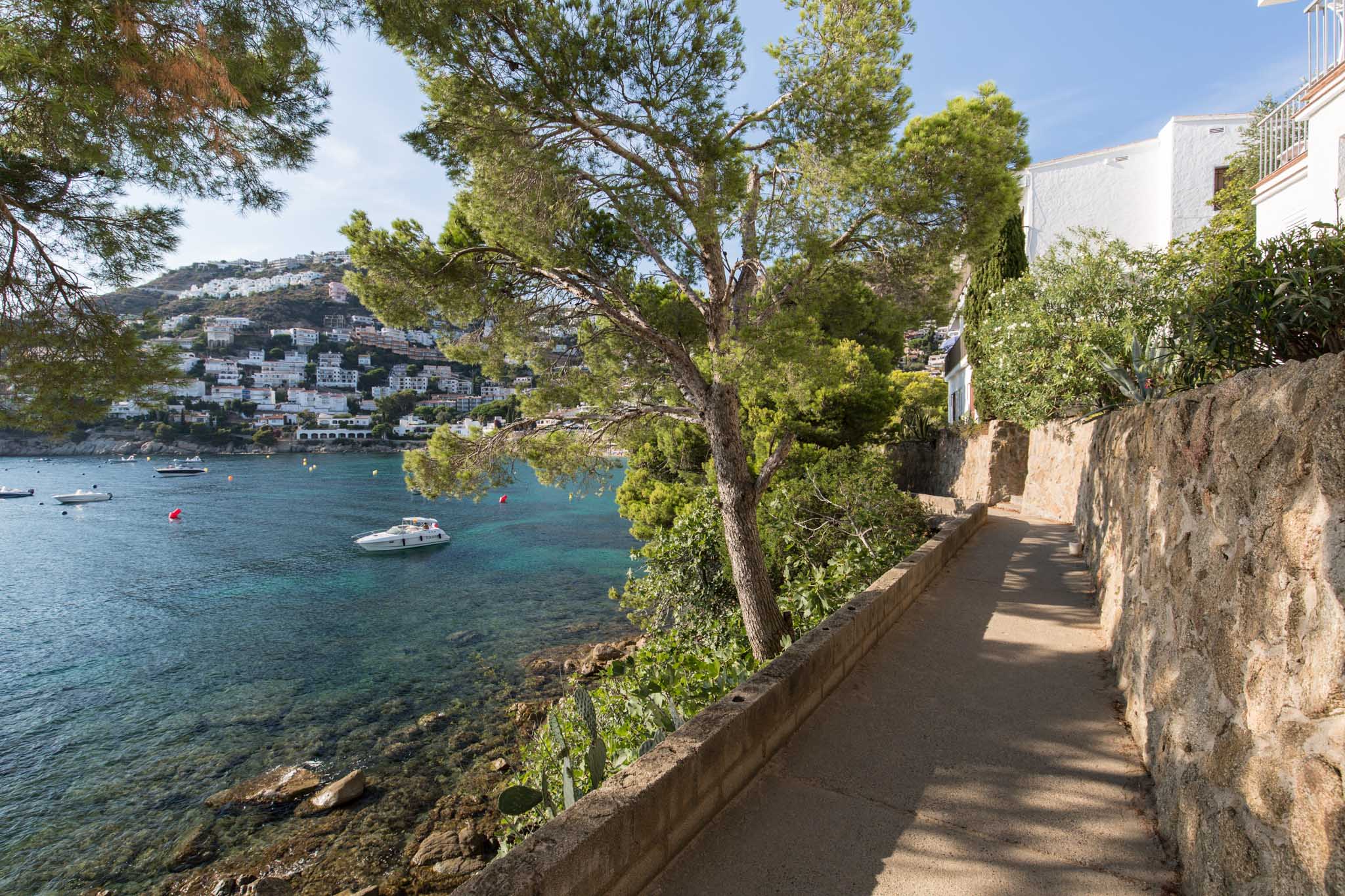 Explore the coastal path