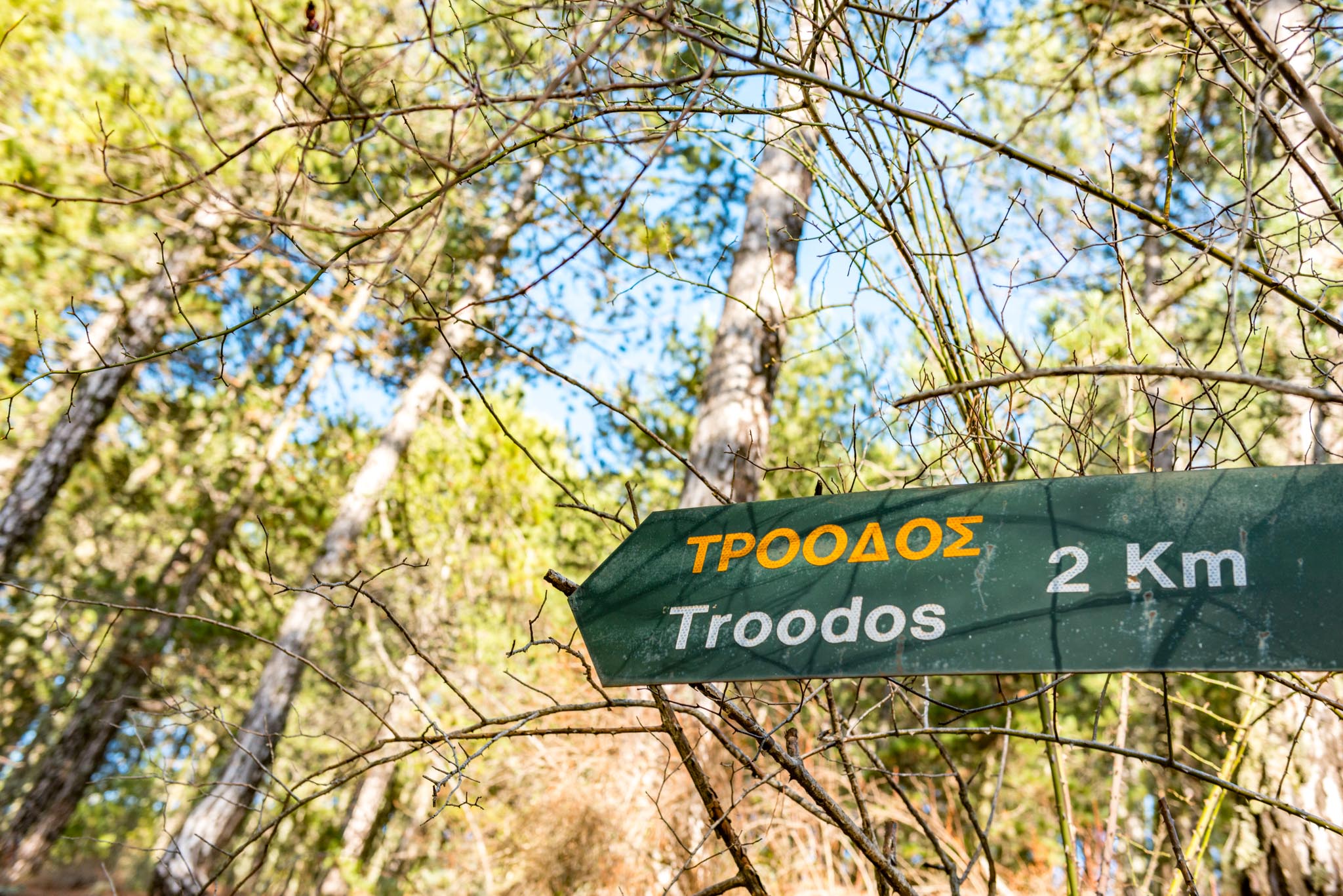 Troodos Village