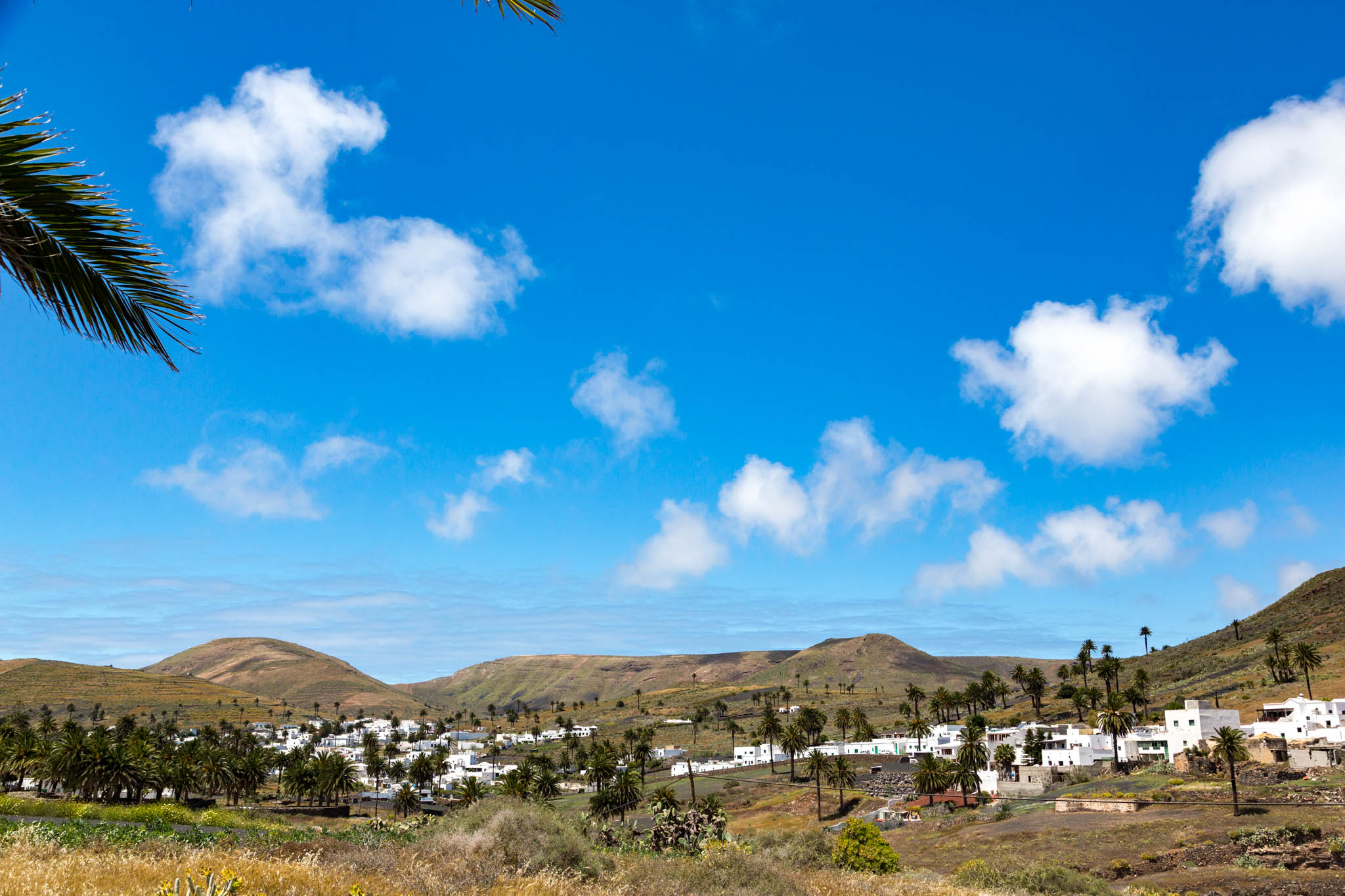 Haria (Lanzarote)