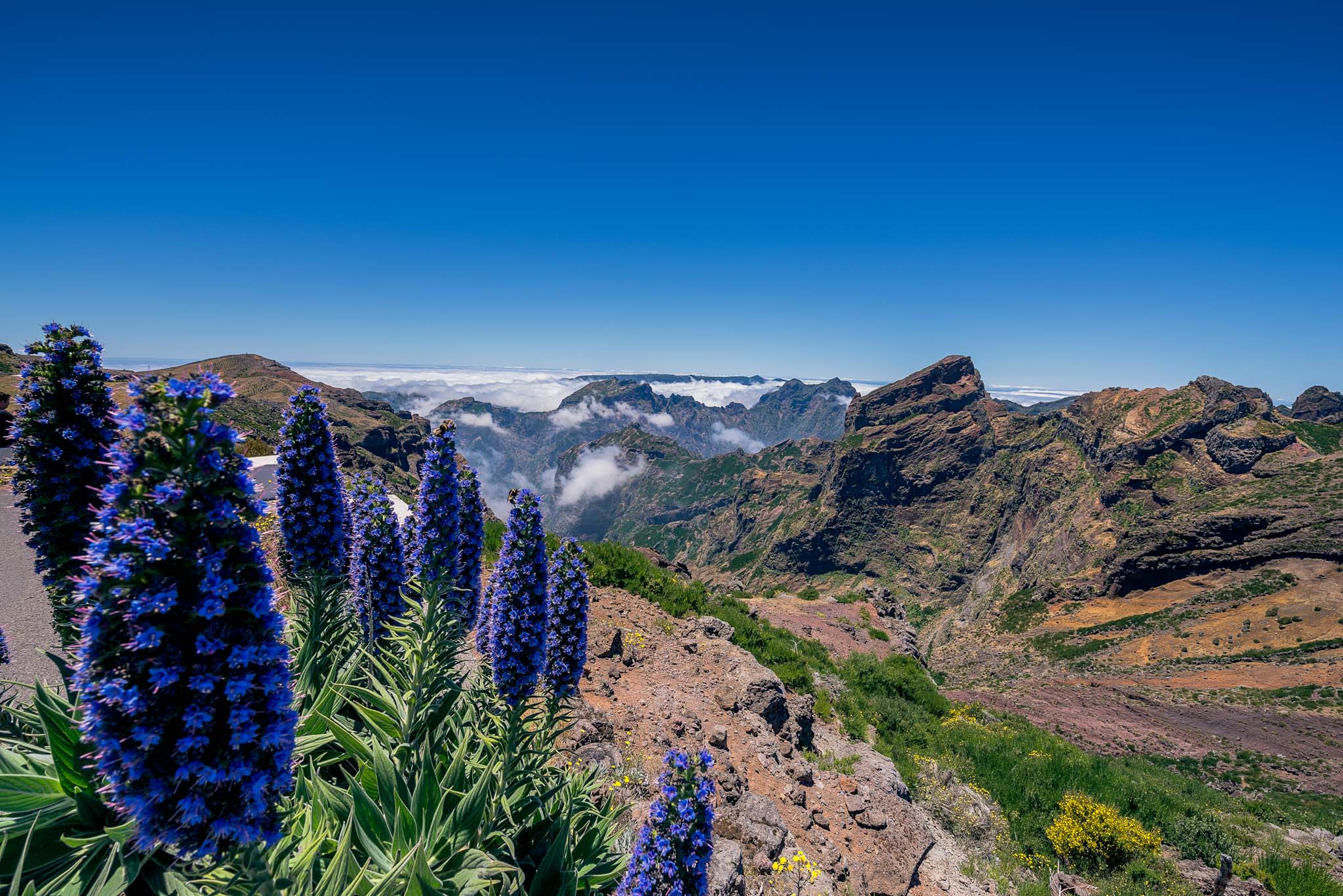 Pico do Arieiro