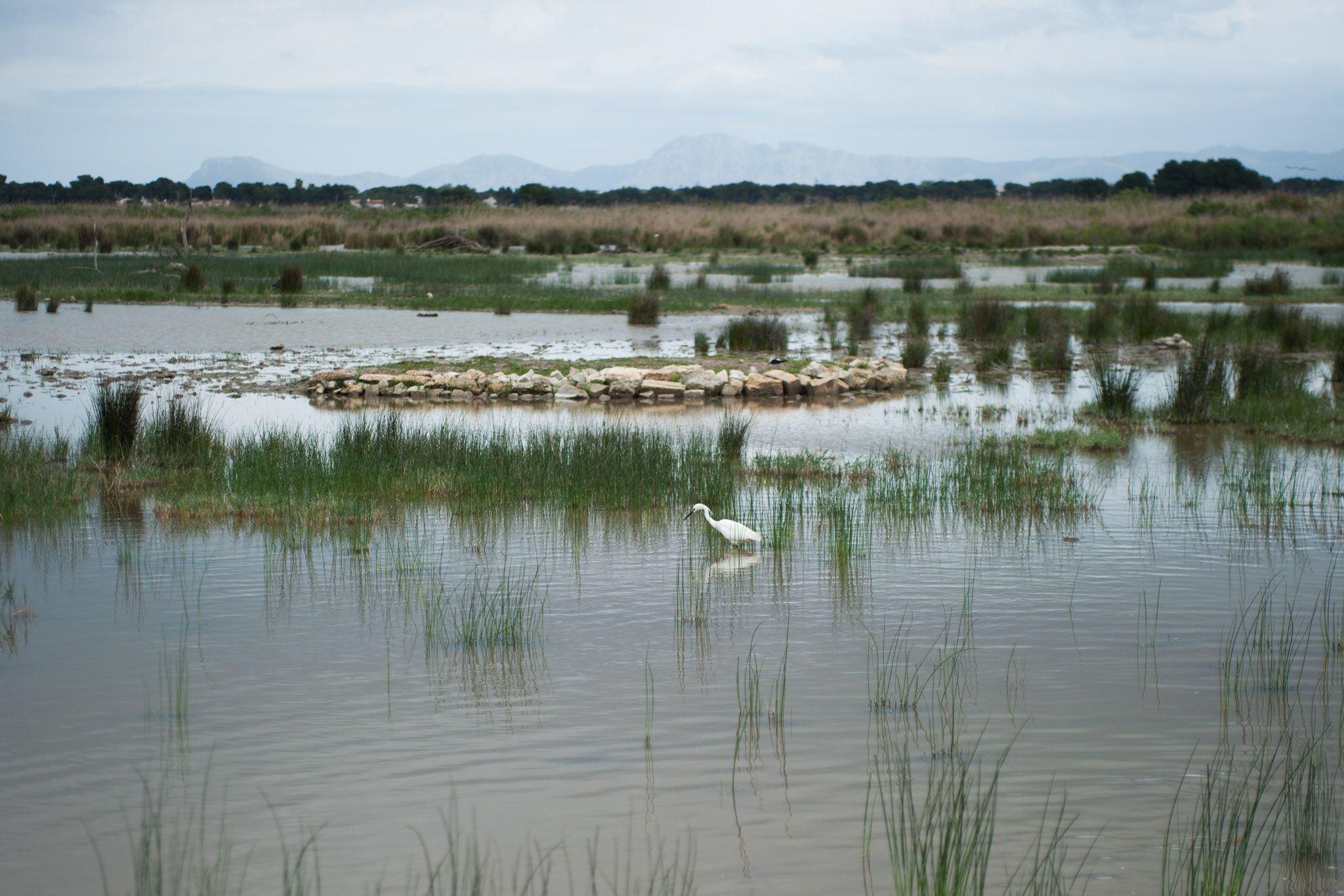 S'Albufera Natural Park