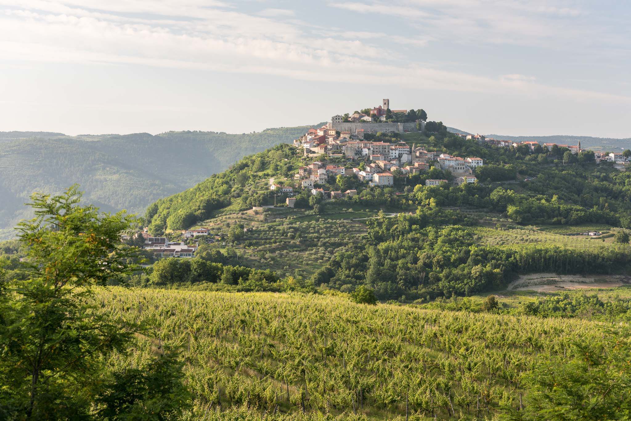 Day trip to Motovun 