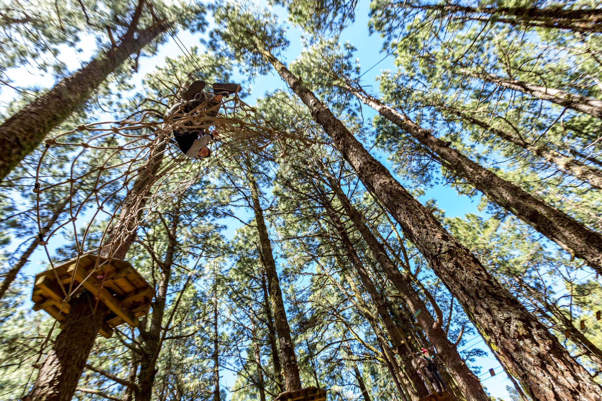 Forestal Park Tenerife